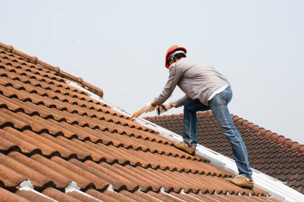 Best Roof Leak Repair  in Stephens City, VA