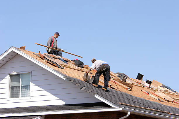 Best Roof Moss and Algae Removal  in Stephens City, VA