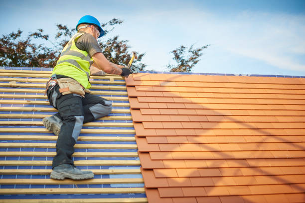 Sheet Metal Roofing in Stephens City, VA